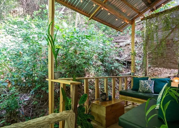 Jungle View Studio With Terrace